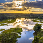 Why is it Important to Conserve Wetlands?